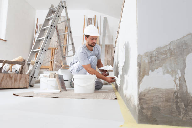 Best Fire-Damaged Drywall Repair  in Herscher, IL