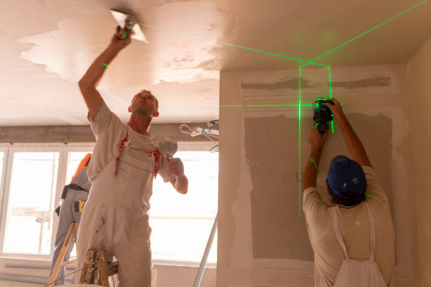 Best Drywall Sanding and Smoothing  in Herscher, IL